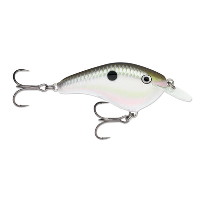 Green Gizzard Shad