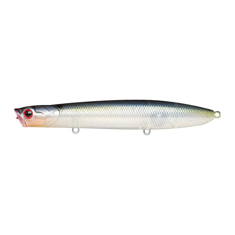 Ghost Threadfin Shad