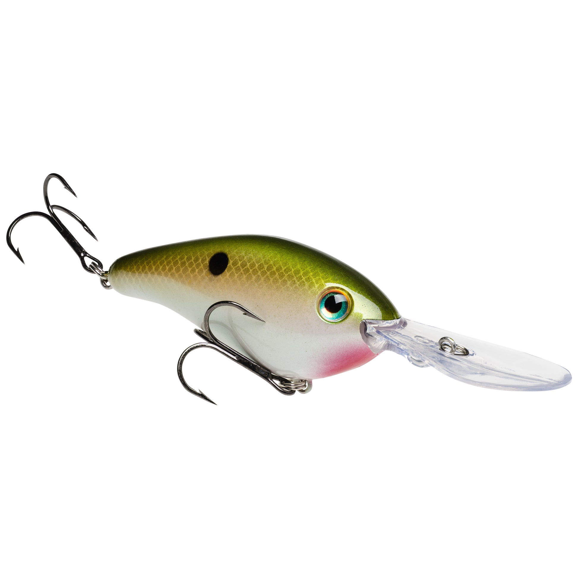 TN Shad