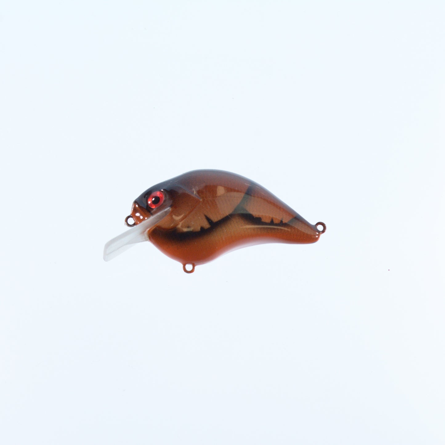 Orange/ Shad Craw