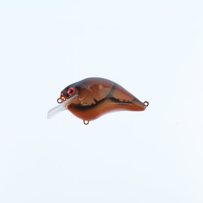 Orange/ Shad Craw