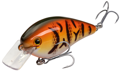 DB Craw