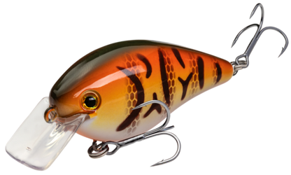 DB Craw