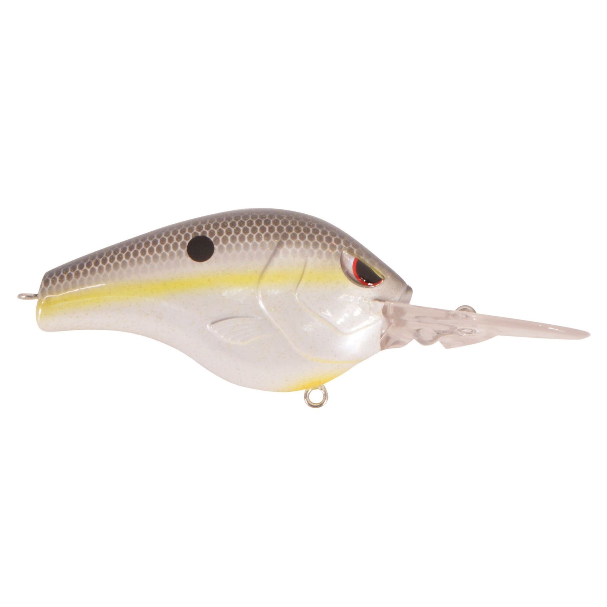 NASTY SHAD