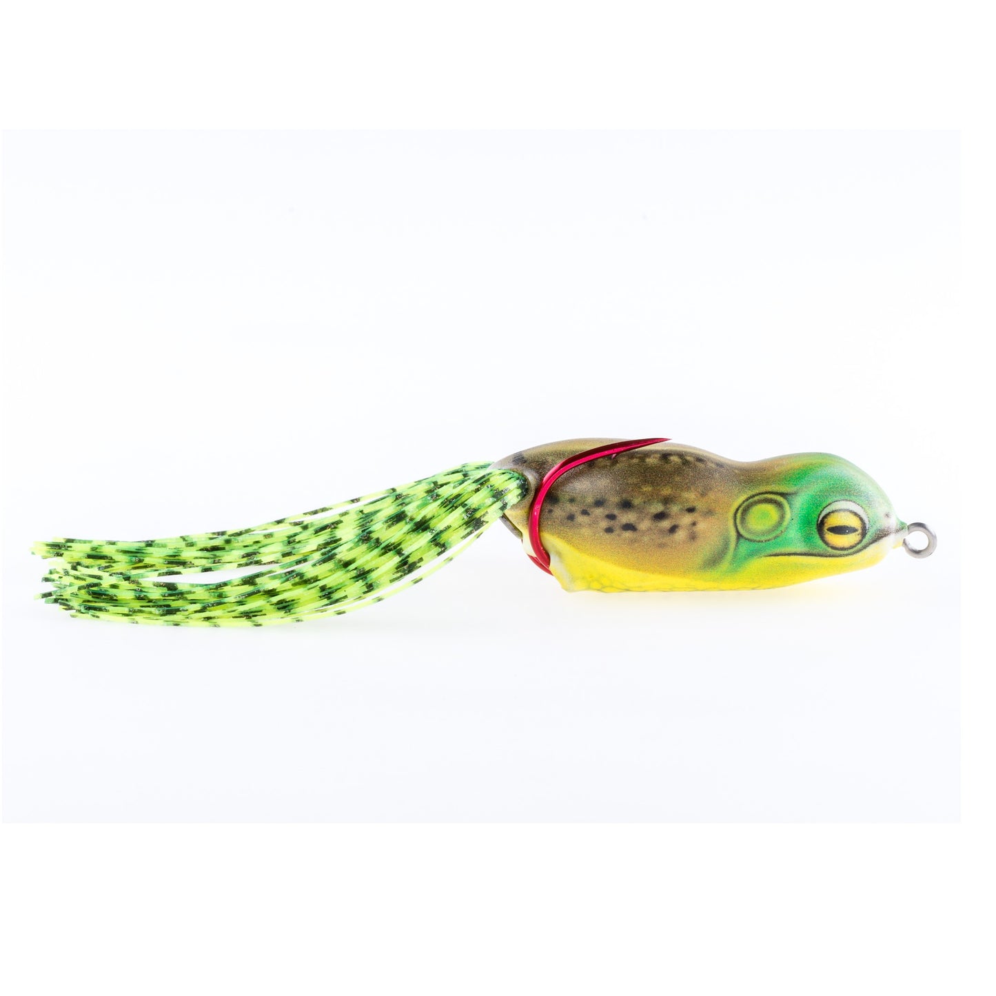 Bullfrog