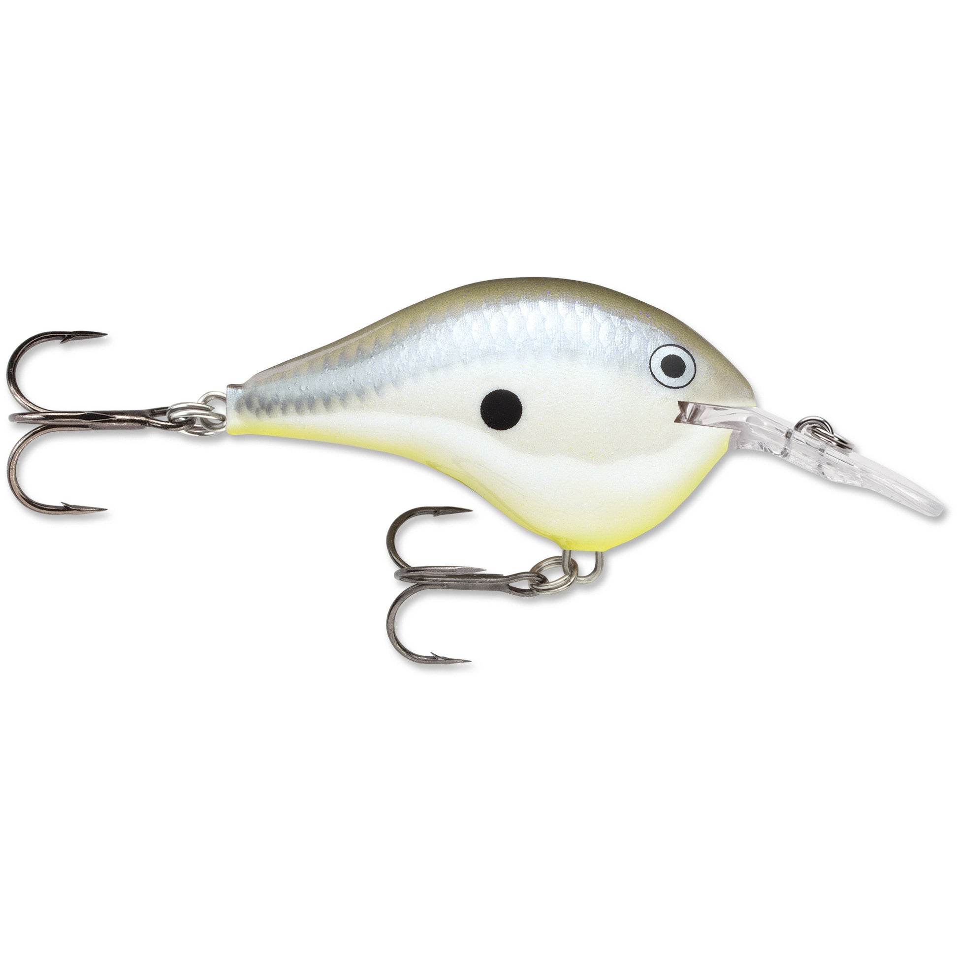 Disco Shad