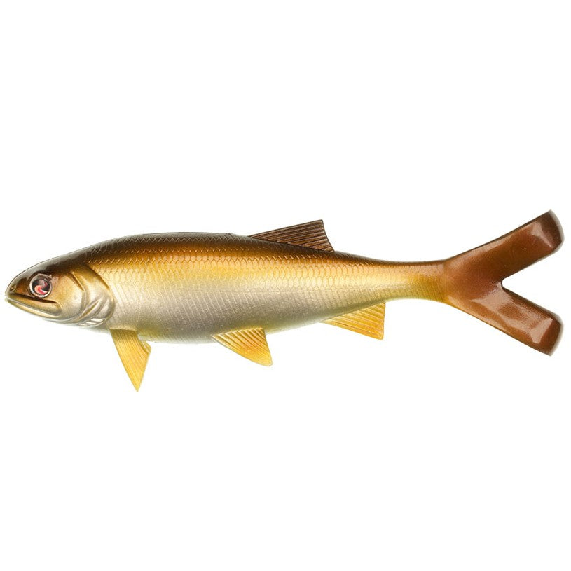 Golden Shad