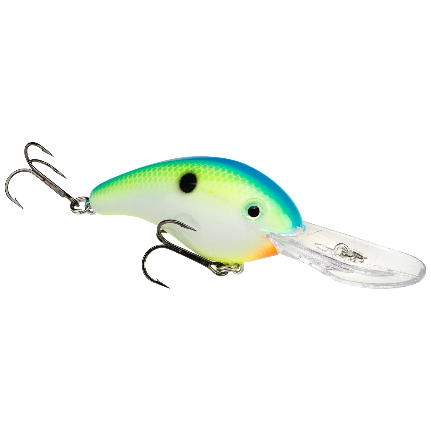 Citrus Shad