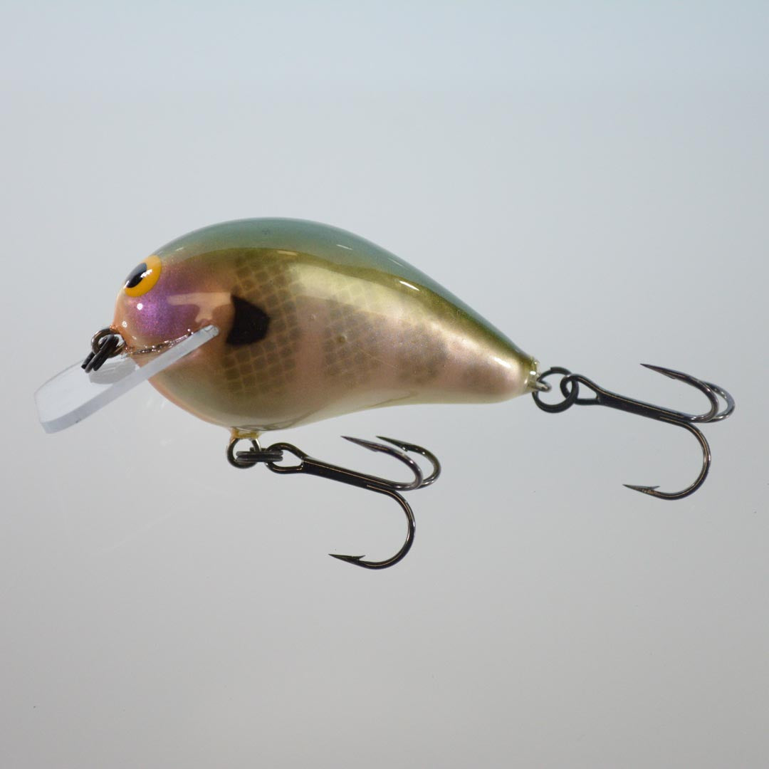 Bluegill