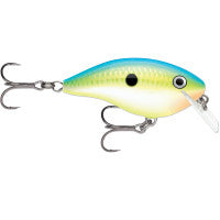 Citrus Shad